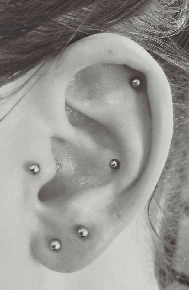 Tragus / Conch / Helix